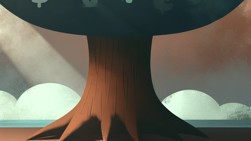 Komplexní přehled a funkce daňové soustavy v ČR