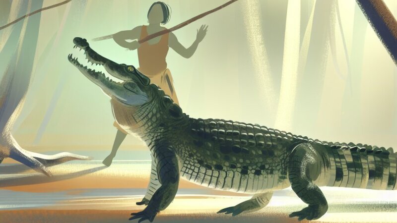 Krokodýli: život, ekologie a vztah k člověku