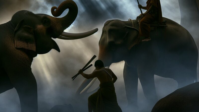 Pu Lorn Hrozný (Reginald Campbell): příběh slona a hledání svobody