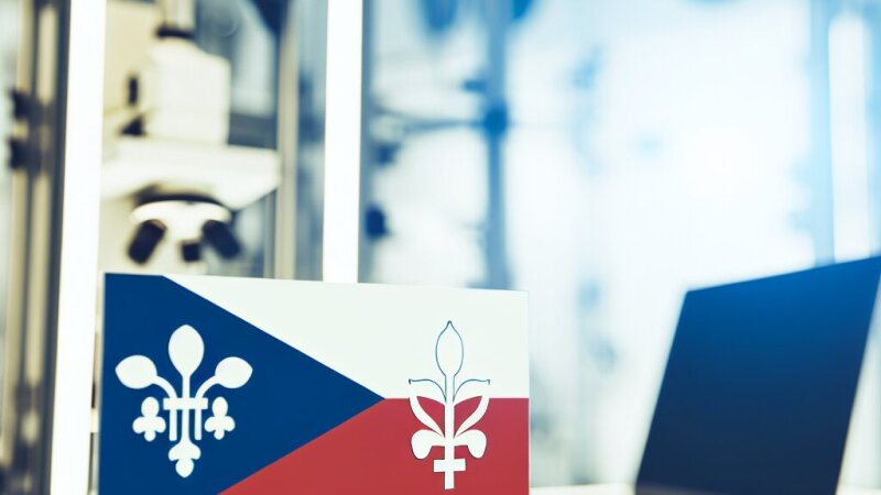 Šlechtění rostlin: metody, cíle a uchovávání genetických zdrojů